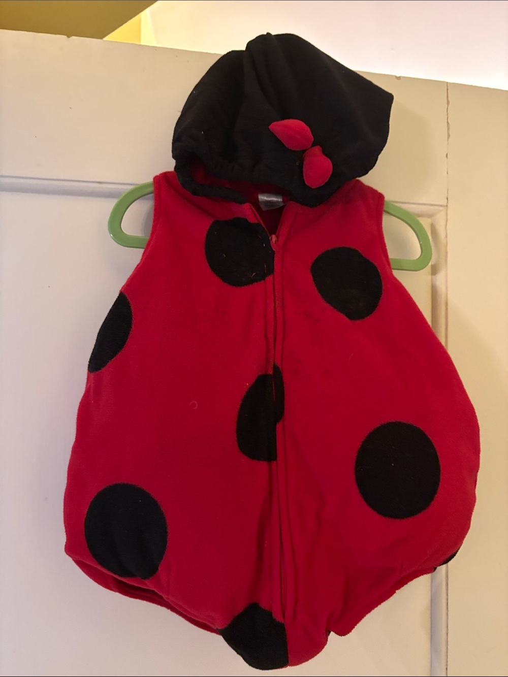 Carter's Red and Black Ladybug Hooded Puffer Costume
